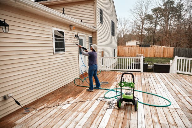 Best Exterior Home Cleaning  in Thief River Falls, MN