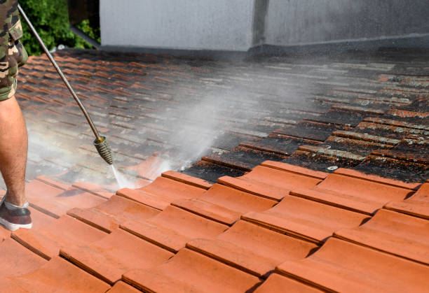 Best Best Pressure Washing Companies  in Thief River Falls, MN