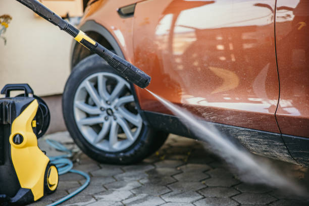 Best Roof Pressure Washing  in Thief River Falls, MN
