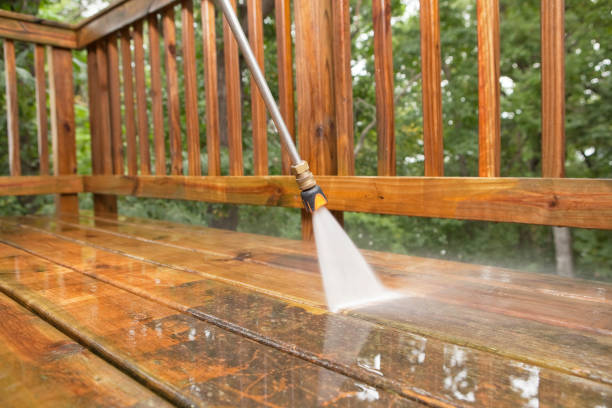 Best Residential Pressure Washing Services  in Thief River Falls, MN