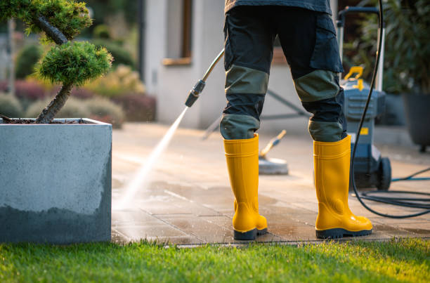 Best Fence Pressure Washing  in Thief River Falls, MN